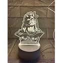 Adiyogi 3D Night LED Light Lamp with Stand Base | 3D Engraved Acrylic Lamp for Bedroom Decor, Birthday Gift | Size Approx 20 cm | No on/Off Switch, only a Cable Included.