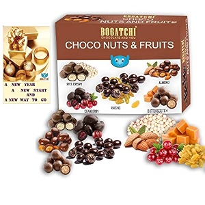 bogatchi chocolate coated assorted nuts and fruits new year special rich dry fruit collection gift 100g  free happy new year card