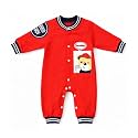 Bold N Elegant Cute Bear Panda Cartoon