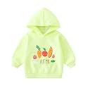 Bold N Elegant Cute Rainbow Smile Print Kids Full Sleeve Warm Thick Fur Fleece Winter Tshirt Sweatshirt Hoodie for Infant Toddler Baby Boy &amp; Girl