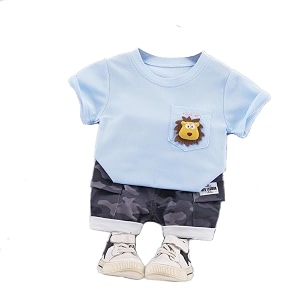 Bold N Elegant Furious Lion 3D Soft