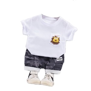 Bold N Elegant Furious Lion 3D Soft