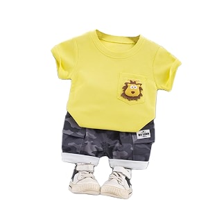 Bold N Elegant Furious Lion 3D Soft