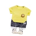 Bold N Elegant Furious Lion 3D Soft