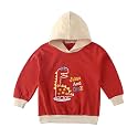 Bold N Elegant Kids Dinosaur Print Hooded Sweatshirt for Boys &amp; Girls