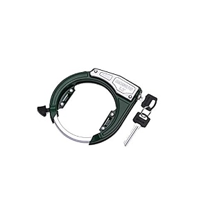bonus lt 666 powder coated nickel side key cycle lock green