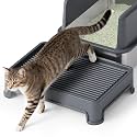 Booche Cat Ramp for Litter Box Elevated Litter Ramp for Cat Litter Boxes, Washable Easy Cleaning Steps with Filter Functions Suitable for Small & Elderly Cats(14"x10"x2.5")