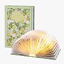 Book Lamp Decor, Gift for Book Lovers, Rechargeable Book Light