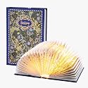 Book Lamp Decor, Gift for Book Lovers, Rechargeable Book Light