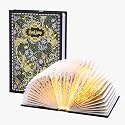 Book Lamp Decor, Gift for Book Lovers, Rechargeable Book Light