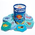 THE BOOK TREE Memory Match Game Sea