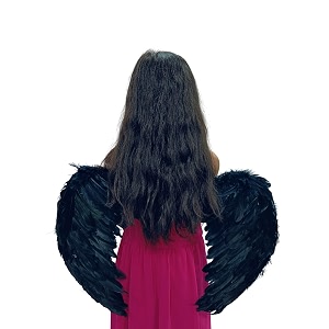 bookmycostume black feather wings for kids amp adults  devil wings bird wings fancy dress costume accessory  black wings for halloween stage showscarnival shows amp theme parties