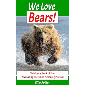 books for kids we love bears children39s book of fun fascinating facts and amazing pictures picture books for children children39s activity educational books