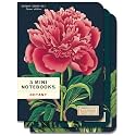 Cavallini Botany Mini Notebooks Set of 3, Vintage Scientific Plant Illustration Journals, Multicolor Pocket Writing Books, 4 x 5.5 Inch Portable Memo Pads for Note Taking, Sketching, Planning, Travel Logs