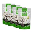 Bownut Khajoor 800 Grams (200gm X 4) – Traditional Dates | Rich in Vitamins, Minerals, and Natural Sweetness | High Quality Khajoor or Dates | Soft Khajur with Chewy Texture | No Added Sugar | Healthy Khajoor / Dates Dry frui