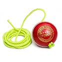 BOXCO Red Leather Hanging Cricket Ball Standard Size Knocking Ball for Batting Practice.Ideal for Improving Hand-Eye Coordination, Stroke Technique & Timing (7 ft Cord Included)
