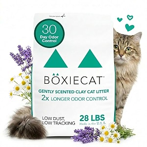 boxiecat gently scented premium clumping clay cat litter 28 lb