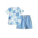 Boy Shorts Sets Summer Hawaii Outfit Palm Print Short Sleeve T-Shirt and Drawstring Cotton Shorts with Pockets