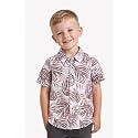 Boys' Short Sleeve Button-Down Shirt, Multicolour Striped, Casual Summer Top for Kids