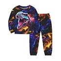 Boys Clothes, T-Rex Print Dinosaur Boy Clothes Fall Winter Outfits Long-sleeved Hooded Sweatshirt Pants 2Pcs Set