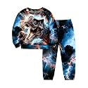 Boys Clothes, T-Rex Print Dinosaur Boy Clothes Fall Winter Outfits Long-sleeved Hooded Sweatshirt Pants 2Pcs Set