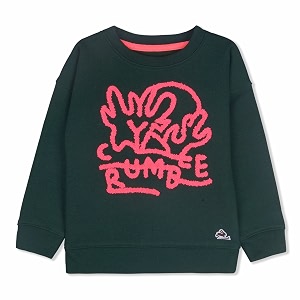Boys Cotton Crew Neck Sweatshirt