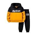 Boys Cotton Hoodie Sweatshirt and Jogging Suit