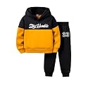 Boys Cotton Hoodie Sweatshirt and Jogging Suit