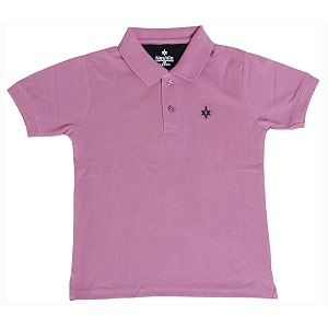 Boys Cotton Polo T-Shirt Regular Fit Half