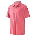 Boys Polo Shirts Short Sleeve Striped Performance Moisture Wicking Dry Fit Golf Shirts for Boys Youth Kids