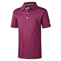 Boys Polo Shirts Short Sleeve Striped Performance Moisture Wicking Dry Fit Golf Shirts for Boys Youth Kids