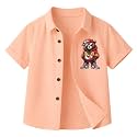 Boys Shirt Regular Stylish Casual Formal Kids