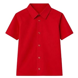 Boys White School Shirt Half Sleeve