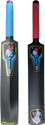 BPI Premium Lightweight Hard Plastic Bat
