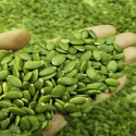 BR CART Raw Pumpkin Seeds Protein