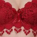 Brachy Women Elegant Lace Push Up Bra