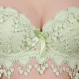 Brachy Women Elegant Lace Push Up Bra