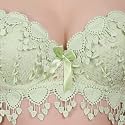 Brachy Women Elegant Lace Push Up Bra