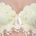 Brachy Women Elegant Lace Push Up Bra