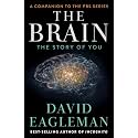 The Brain
