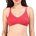 Bralux Women39s Cotton Non-Wired Bra