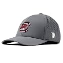 Branded Bills South Carolina Gamecocks Logo Performance Hat for Men