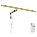 Brass Picture Lights for Paintings Plug in, 16" 4W Adjustable LED Gold Picture Light Art Light, Remote Control Gallery Painting Wall Light for Picture Display Dartboard Art Work (Gold)