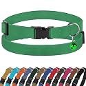 Breakaway Cat Collar Leather with Removable Bell - 13 Colors Available - Soft Adjustable Girl Boy Safety Lightweight Pet Kitten Collars Pink Brown Blue Green Red Orange Black (Green)
