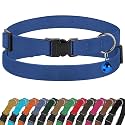 Breakaway Cat Collar Leather with Removable Bell - 13 Colors Available - Soft Adjustable Girl Boy Safety Lightweight Pet Kitten Collars Pink Brown Blue Green Red Orange Black (Blue)