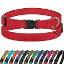 Breakaway Cat Collar Leather with Removable Bell - 13 Colors Available - Soft Adjustable Girl Boy Safety Lightweight Pet Kitten Collars Pink Brown Blue Green Red Orange Black (Red)