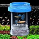 Breeder Box for Fish Tank, Floating Plastic Aquarium Breeding Chamber