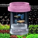 Breeder Box for Fish Tank, Plastic Aquarium Breeding Chamber, Floating Mesh Isolation Hatchery Incubator for Small Fish, Betta Shrimp Clownfish Guppy - Adjustable Nursery Tank Divider (Pink,Large)
