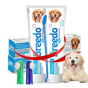 cool mint toothpastepack of 2 and 3pcs toothbrush combo for dogs - 200g  soothing mix of mint and cinnamon oil suitable for dogs and puppies dog toothpaste dog mouth freshner