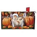 Briarwood Lane Thanksgiving Mailbox Cover - Standard Size - Thankful Chipmunks for Thanksgiving Mailbox Cover